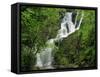 Torc Waterfall at Killarney, County Kerry, Munster, Eire, Europe-Rainford Roy-Framed Stretched Canvas