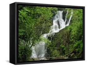 Torc Waterfall at Killarney, County Kerry, Munster, Eire, Europe-Rainford Roy-Framed Stretched Canvas