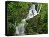 Torc Waterfall at Killarney, County Kerry, Munster, Eire, Europe-Rainford Roy-Stretched Canvas