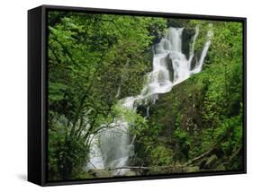 Torc Waterfall at Killarney, County Kerry, Munster, Eire, Europe-Rainford Roy-Framed Stretched Canvas