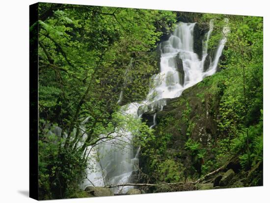 Torc Waterfall at Killarney, County Kerry, Munster, Eire, Europe-Rainford Roy-Stretched Canvas