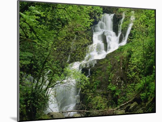 Torc Waterfall at Killarney, County Kerry, Munster, Eire, Europe-Rainford Roy-Mounted Photographic Print