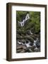 Torc Waterfall, County Kerry, Munster, Republic of Ireland, Europe-Carsten Krieger-Framed Photographic Print
