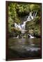 Torc Waterfall, Kerry, Ireland: A Waterfall In The Woods-Axel Brunst-Framed Premium Photographic Print