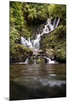 Torc Waterfall, Kerry, Ireland: A Waterfall In The Woods-Axel Brunst-Mounted Premium Photographic Print