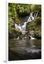 Torc Waterfall, Kerry, Ireland: A Waterfall In The Woods-Axel Brunst-Framed Photographic Print