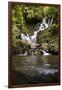 Torc Waterfall, Kerry, Ireland: A Waterfall In The Woods-Axel Brunst-Framed Photographic Print