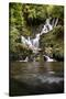 Torc Waterfall, Kerry, Ireland: A Waterfall In The Woods-Axel Brunst-Stretched Canvas