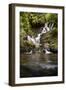 Torc Waterfall, Kerry, Ireland: A Waterfall In The Woods-Axel Brunst-Framed Photographic Print