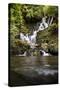 Torc Waterfall, Kerry, Ireland: A Waterfall In The Woods-Axel Brunst-Stretched Canvas