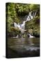 Torc Waterfall, Kerry, Ireland: A Waterfall In The Woods-Axel Brunst-Stretched Canvas