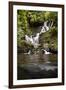 Torc Waterfall, Kerry, Ireland: A Waterfall In The Woods-Axel Brunst-Framed Premium Photographic Print