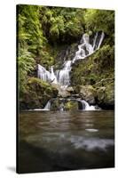 Torc Waterfall, Kerry, Ireland: A Waterfall In The Woods-Axel Brunst-Stretched Canvas