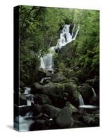 Torc Waterfall, Killarney, County Kerry, Munster, Eire (Republic of Ireland)-Roy Rainford-Stretched Canvas