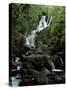 Torc Waterfall, Killarney, County Kerry, Munster, Eire (Republic of Ireland)-Roy Rainford-Stretched Canvas
