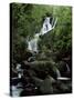 Torc Waterfall, Killarney, County Kerry, Munster, Eire (Republic of Ireland)-Roy Rainford-Stretched Canvas