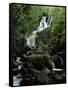 Torc Waterfall, Killarney, County Kerry, Munster, Eire (Republic of Ireland)-Roy Rainford-Framed Stretched Canvas