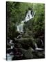 Torc Waterfall, Killarney, County Kerry, Munster, Eire (Republic of Ireland)-Roy Rainford-Stretched Canvas