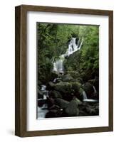 Torc Waterfall, Killarney, County Kerry, Munster, Eire (Republic of Ireland)-Roy Rainford-Framed Photographic Print