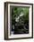 Torc Waterfall, Killarney, County Kerry, Munster, Eire (Republic of Ireland)-Roy Rainford-Framed Photographic Print