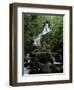 Torc Waterfall, Killarney, County Kerry, Munster, Eire (Republic of Ireland)-Roy Rainford-Framed Photographic Print