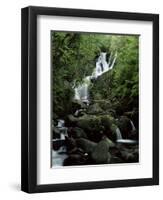 Torc Waterfall, Killarney, County Kerry, Munster, Eire (Republic of Ireland)-Roy Rainford-Framed Photographic Print