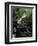 Torc Waterfall, Killarney, County Kerry, Munster, Eire (Republic of Ireland)-Roy Rainford-Framed Photographic Print