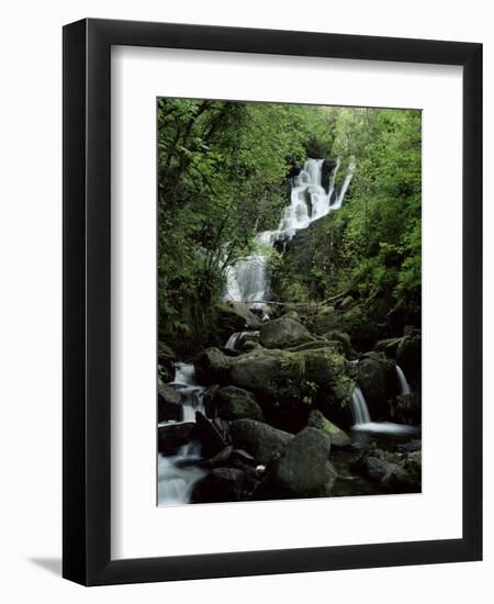 Torc Waterfall, Killarney, County Kerry, Munster, Eire (Republic of Ireland)-Roy Rainford-Framed Photographic Print