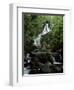 Torc Waterfall, Killarney, County Kerry, Munster, Eire (Republic of Ireland)-Roy Rainford-Framed Photographic Print