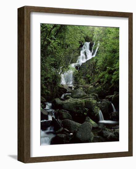 Torc Waterfall, Killarney, County Kerry, Munster, Eire (Republic of Ireland)-Roy Rainford-Framed Photographic Print