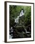 Torc Waterfall, Killarney, County Kerry, Munster, Eire (Republic of Ireland)-Roy Rainford-Framed Photographic Print