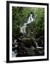 Torc Waterfall, Killarney, County Kerry, Munster, Eire (Republic of Ireland)-Roy Rainford-Framed Photographic Print