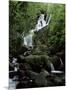 Torc Waterfall, Killarney, County Kerry, Munster, Eire (Republic of Ireland)-Roy Rainford-Mounted Photographic Print