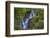 Torc Waterfall, Killarney National Park, near Killarney, County Kerry, Munster, Republic of Ireland-Nigel Hicks-Framed Photographic Print