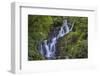 Torc Waterfall, Killarney National Park, near Killarney, County Kerry, Munster, Republic of Ireland-Nigel Hicks-Framed Photographic Print