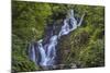 Torc Waterfall, Killarney National Park, near Killarney, County Kerry, Munster, Republic of Ireland-Nigel Hicks-Mounted Photographic Print