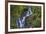 Torc Waterfall, Killarney National Park, near Killarney, County Kerry, Munster, Republic of Ireland-Nigel Hicks-Framed Photographic Print