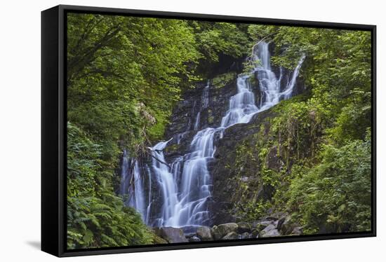 Torc Waterfall, Killarney National Park, near Killarney, County Kerry, Munster, Republic of Ireland-Nigel Hicks-Framed Stretched Canvas