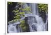 Torc Waterfall, Killarney National Park, near Killarney, County Kerry, Munster, Republic of Ireland-Nigel Hicks-Framed Photographic Print