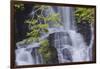 Torc Waterfall, Killarney National Park, near Killarney, County Kerry, Munster, Republic of Ireland-Nigel Hicks-Framed Photographic Print