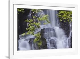 Torc Waterfall, Killarney National Park, near Killarney, County Kerry, Munster, Republic of Ireland-Nigel Hicks-Framed Photographic Print