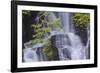 Torc Waterfall, Killarney National Park, near Killarney, County Kerry, Munster, Republic of Ireland-Nigel Hicks-Framed Photographic Print