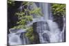 Torc Waterfall, Killarney National Park, near Killarney, County Kerry, Munster, Republic of Ireland-Nigel Hicks-Mounted Photographic Print