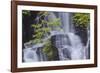 Torc Waterfall, Killarney National Park, near Killarney, County Kerry, Munster, Republic of Ireland-Nigel Hicks-Framed Photographic Print