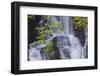 Torc Waterfall, Killarney National Park, near Killarney, County Kerry, Munster, Republic of Ireland-Nigel Hicks-Framed Photographic Print