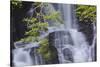 Torc Waterfall, Killarney National Park, near Killarney, County Kerry, Munster, Republic of Ireland-Nigel Hicks-Stretched Canvas