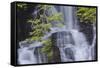 Torc Waterfall, Killarney National Park, near Killarney, County Kerry, Munster, Republic of Ireland-Nigel Hicks-Framed Stretched Canvas