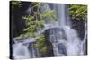 Torc Waterfall, Killarney National Park, near Killarney, County Kerry, Munster, Republic of Ireland-Nigel Hicks-Stretched Canvas