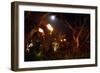 Torches of Hawaii-George Oze-Framed Photographic Print