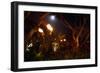 Torches of Hawaii-George Oze-Framed Photographic Print